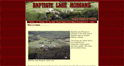 Desktop Screenshot of baptistelakemorgans.com