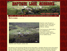 Tablet Screenshot of baptistelakemorgans.com